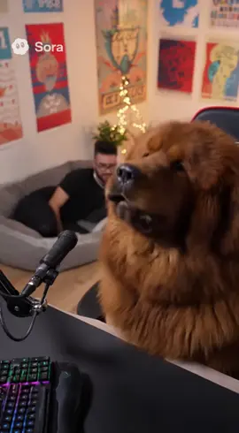 #sora #hasanpiker #twitch #ai #funny 