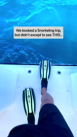 Feeling small yet in awe of the sheer size and grace of these magnificent creatures 🐋🦈 Snorkeling with whale sharks and manta rays in the Maldives was a dream come true. 😍 The crystal clear waters allowed us to witness the beauty and grace of these ocean giants up close. From the swirling patterns of manta rays to the gentle grace of the whale sharks, this experience will be etched in our memories forever. A moment to treasure and a reminder to protect and preserve our seas for future generations to enjoy 💙 . . . #whaleshark #mantarays #snorkeling #maldives #oceanconservation #maldivestrip #visitmaldives #travel #travelling