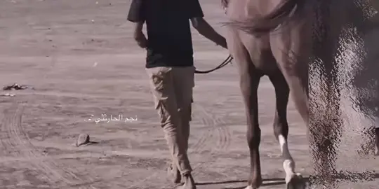 رجلي على حالها وانا على حالي 🐎💔. معوض خير . . #وادي_بلحارث #تصميمي #creatorsearchinsights #شيلات #خيل 