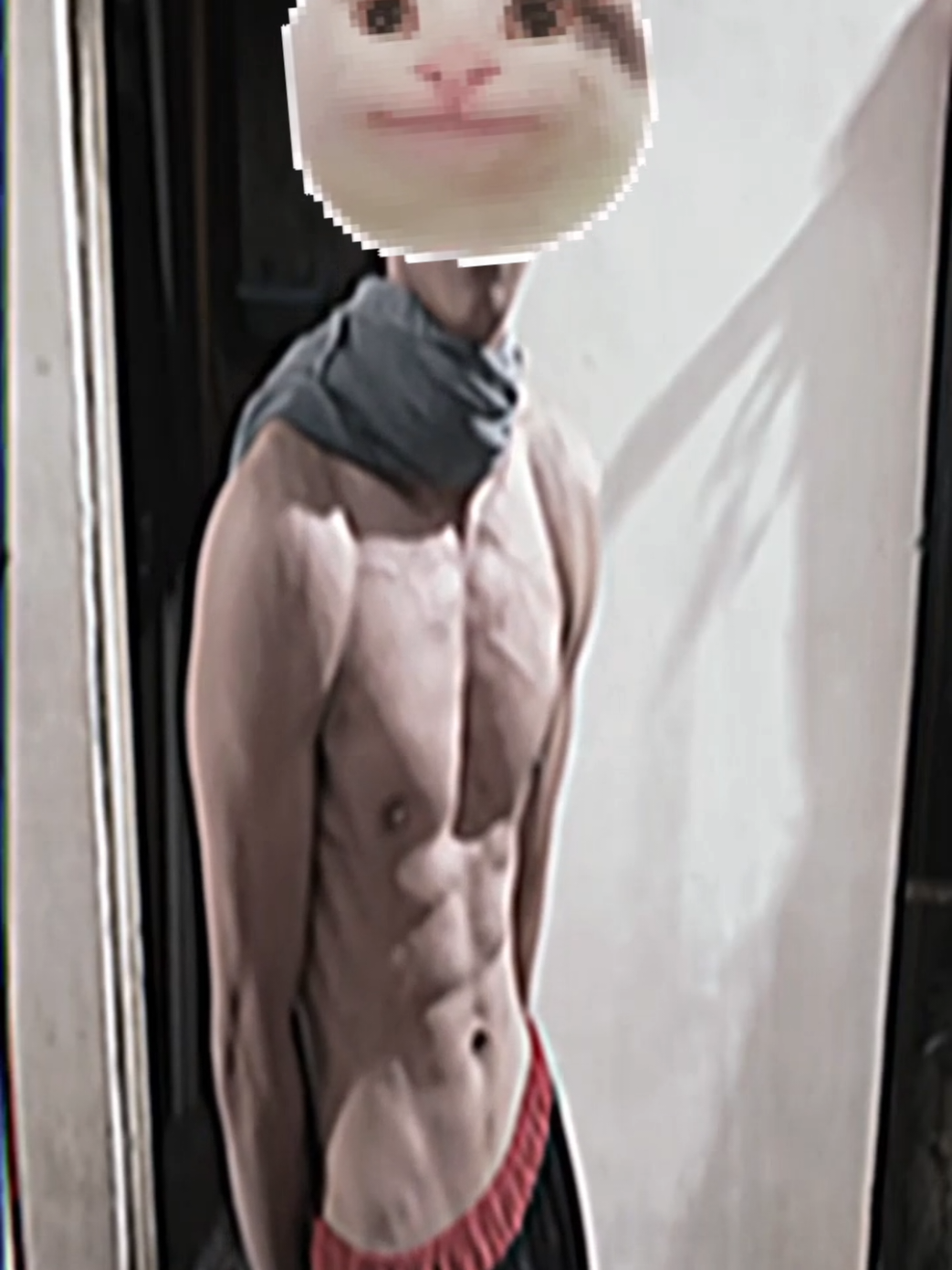Body goals: slimfit, V-Taper. Months of training #gymtoks #aesthetic #calisthenics #vtaper #bodygoal 