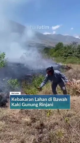 kebakaran di bawah kaki gunung  rinjani@Akun Warganet Lotim No. 1 