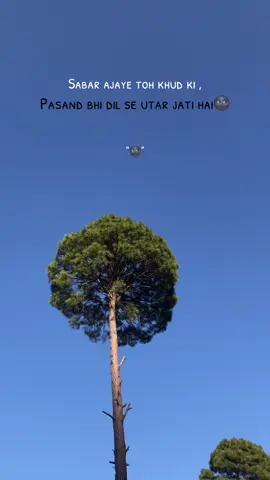 #fyp 