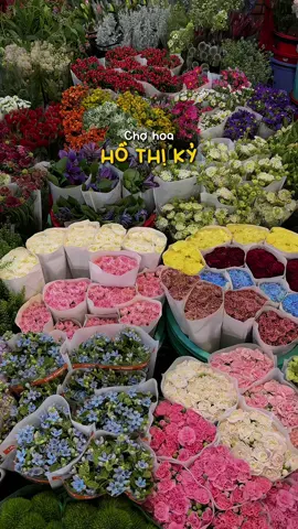 Đi dạo chợ hoa lúc 10h đêm... #chohoahothiky #saigon #paophe 