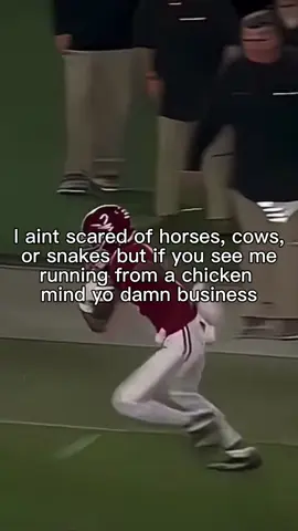 #CapCut 