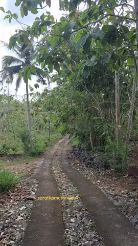 Jambune klampok ngawe-awe... #gunungkidul #exploregunungkidul #gunungkidulhandayani #wongnggunung #gunungkidul24jam 