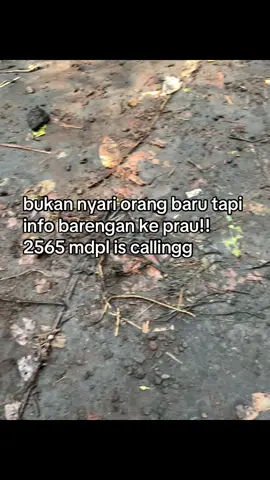 info tanggal 19 nyari barengan #pendakigunung #pendakifomo #praumountain #masukberanda #fyp 