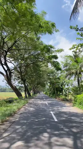 Syahdu tenan #banyumas #banyumas24jam #banyumasvibes 