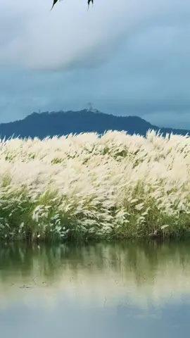 တန်းကြည်တောင်ဘုရားကြီးရယ် ရာသီချိန်ပွင့်နေတဲ့ ကိုင်းပန်းပွင့်တွေရယ် ဧရာဝတီမြစ်ကြီးရယ် လှရက်နိုင်လွန်းပါတယ်😍😍😍 #bagan  #foryou  #kyawthubagan 
