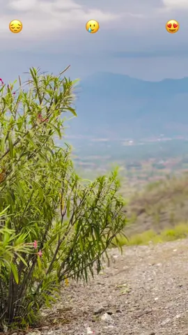 Roryan #foryou #deartiktokteamdontunderviewmyvideos #khalidoo #deartiktokteamdontunder #attiude_king_👑 