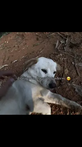 🥺🥺#ເຮຣດ #ເເທັກແຟນມາເບີງ💑 #ເເຟນນ່າຮັກ😘 #fpy #ມີເເຟນເປັນສາວມົ້ງ 
