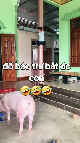 🤣🤣🤣🤣🤣🤭🤭🤭🤭