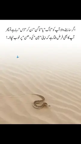 #foryouu #potwarisher #fyp #viewsproblem #unfrezzmyaccount 