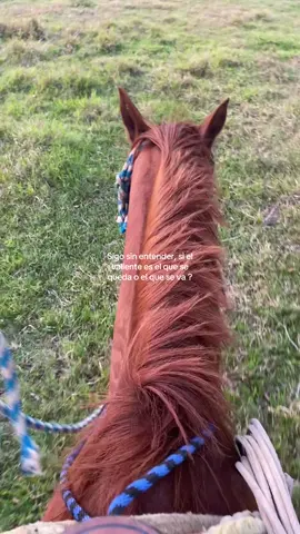 #fyp Sigo sin entender, si el valiente es el que se queda o el que se va ?