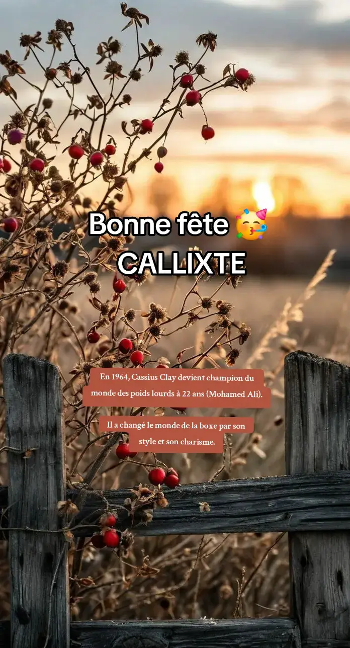#lepetitmomentdenataly #pourtoi #ephemeride 
