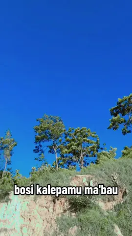 judul lagu  pappakeo tawas🤣 lagu india ❌ lagu Mandar ✔