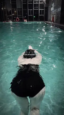 💔 #CapCut #miibaby #teamy #trending #idollive  