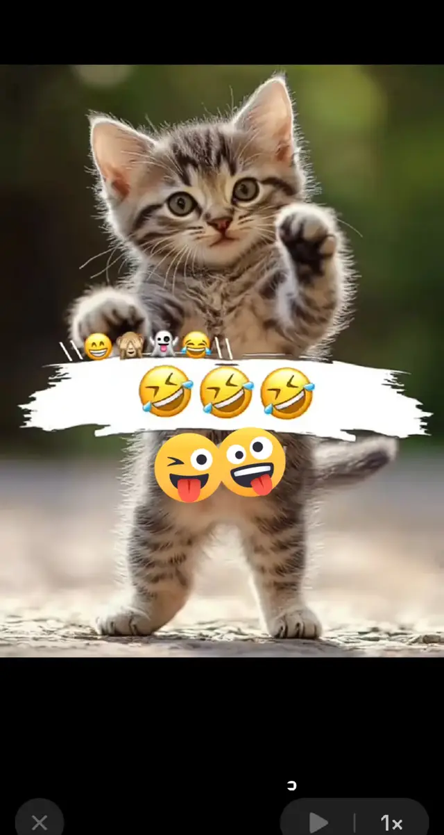 ##😂🙈🙊🤣🤣😎🤣😎🤣😎🤣😎🤣😎🤣🤣🤣😎🤣 