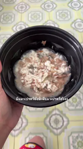 อยากเป็นแมวเปรตละ บ่ จ้า