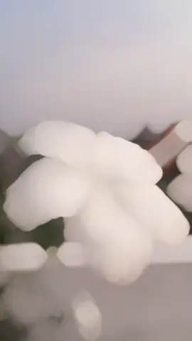 #onthisday #fypシ゚viral vedio#for you page#unfreez my account👃👃👃👃👃👃👃👃👃#tiktok,bangladesh 