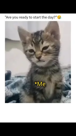 #Iamnotready🥲🥲🥲 