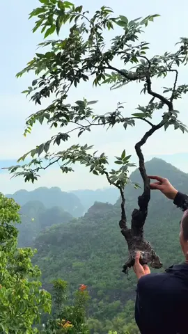 Thiên nhiên yên bình #muoihong 