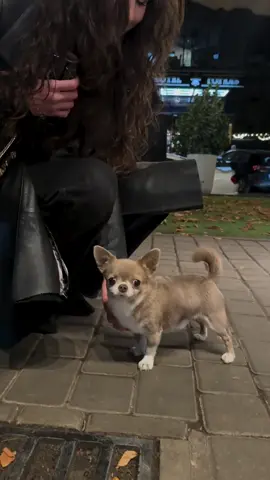 Який він красень😘❤️🔥🥰🫶🏻