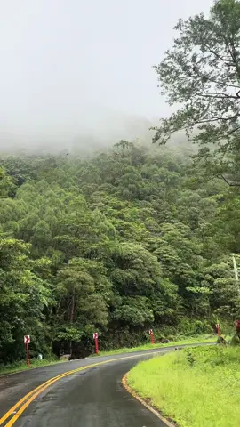 This kind of day off 🍃🙂‍↔️