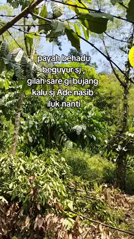 #jemekite #bujangduson #foryoupage #fyp 