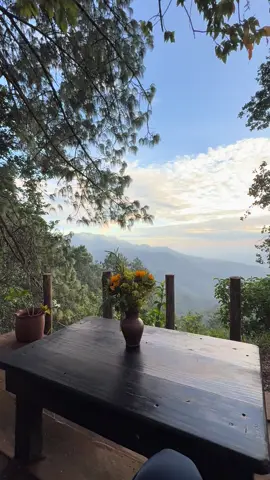 #oaxaca #sierra #montaña #naturaleza #cafe 