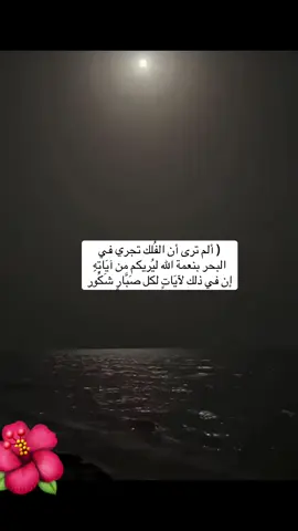 #القرآن_الكريم #مشاهدات 