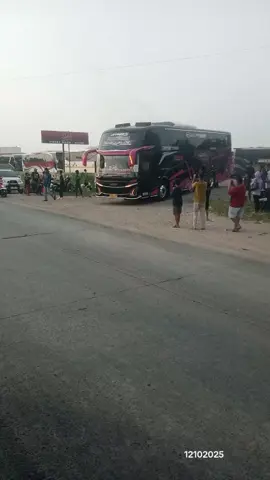 MSM Asyrof ' She Jaloe' TO dari CM7 Banten #pusatoleholehbanten  #manialingkarselatancilegon  #asyrofgank #asyrofshejaloe 