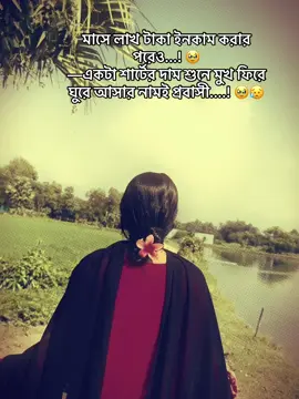 #CapCut 