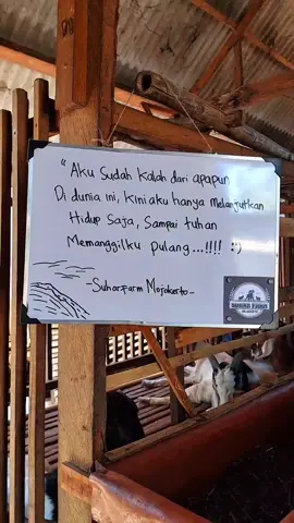 🥲 #liriklagu #xyzabc #xyzbcafypシ #xyzbca #katakata #capcut #tiktok #beranda #quotes #peternakmuda #sobatngaret #mojokerto24jam #suharfarmmojokerto #fyp 