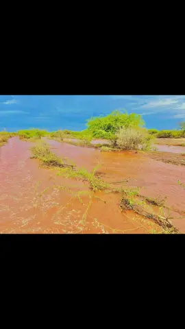 #somalitiktok #somalitiktok #dhulbarakeysan❤🥰🥰🥰 @yoonka saki81🇸🇴 @shakuur_04 @Bodka🇸🇴 