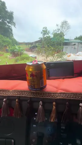 Trưa bao giờ uống nc bò húc lại ngon ntn 