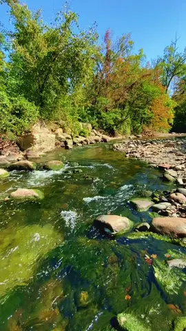 #OhioCheck #Ohio #TinkersCreek #Nature #Creek 