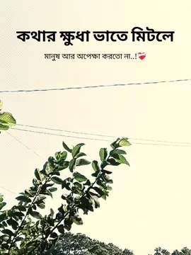 কথার ক্ষুধা ভাতে মিটলে মানুষ আর অপেক্ষা করতো না..!❤️‍🩹 #fyppppppppppppppppppppppp #fyp #capcut #foryou #foryoupage 