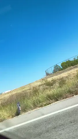 We were rolling 😂