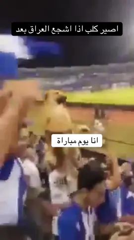 منو كالها وتورط😂#الشعب_الصيني_ماله_حل😂😂 #مضحك #العراق #تحشيش #ضحك 
