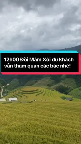 Thời tiết hôm 14/10/2025 tại Mù Cang Chải nhé các bác! #alangmucangchai #mucangchai #dulichmucangchai #dulich 