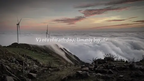 Nếu như anh được làm mây bay...!#fyp #lyrics #09th02_8 #thinhhanh #tamtrang 
