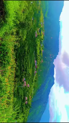 #काभ्रेली #foryoupageofficiall❤️❤️ #foryoupageofficiall❤️❤️tiktok #gau 