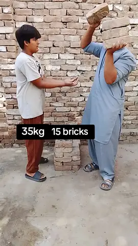 30 kg 15 bricks 