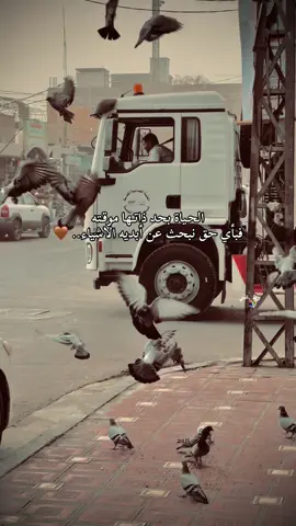 #متابعة #ترند #تصاميم #تصميم_فيديوهات🎶🎤🎬 #الشعب_الصيني_ماله_حل😂😂 