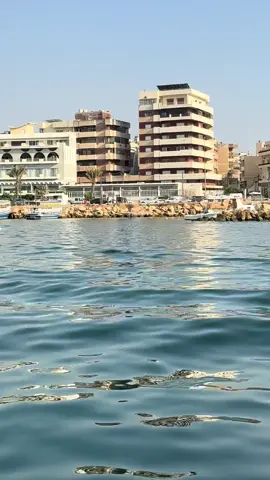 🍋حتى لو كان المغترب محاطاً بالناس من  بيئته يشعر بالغربة الداخلية وهي شعور 🇱🇧بالعزلة وعدم الانتماء صباح الخير من الأسكله يا أبن بلدي 🫐 