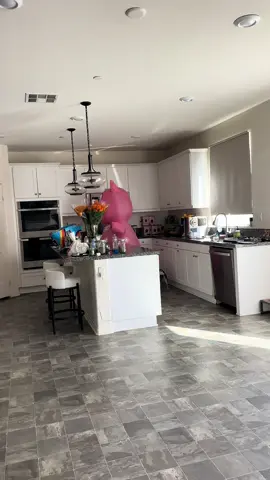 I don’t think they liked my costume 😭 #🐷 