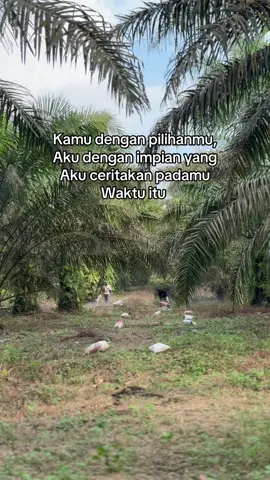 #petaniindonesia🇮🇩🇮🇩🇮🇩🌿🌿 #petanisawit #sawitriau #storysawit #fyp 