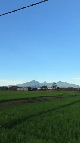 muria hari ini cerahh bgt #muria #mtmuria #fypage #kudus 