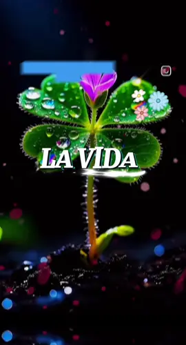 De Tanto Caer Aprendí A Volar.✍️ La Vida No Es Fácil, Pero Tampoco Imposible. Se trata de un propósito ✍️ #tiktokmusic #motivation #inspiracion #sanacion #parati ✍️🩷🎼⭐️💯🩷 @CapCutt Plantillas 