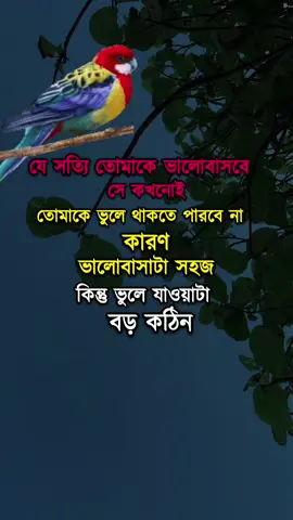 #Costa #aesthetic #fouryou #f #friendship @TIKTOK Bangladesh @tiktok,,Bangladesh,,,,official @asmani @Hassan Hussain @অদৃশ্যে কন্যা @Rumana bagom @Jannatul ferdous @হারিয়ে ফেলেছি জীবনের পাসওয়াড @সুমনMd @🔥 ๖ۣۜTᥲꪀꪱꪳᥲ♥♡, ꧁ঔৣ☠︎Tᥲꪀꪱꪳᥲ 